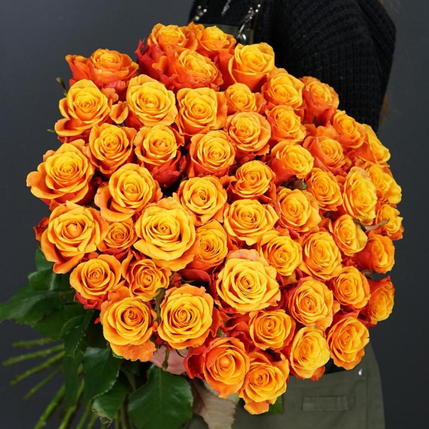 Роза Испания оранжевые