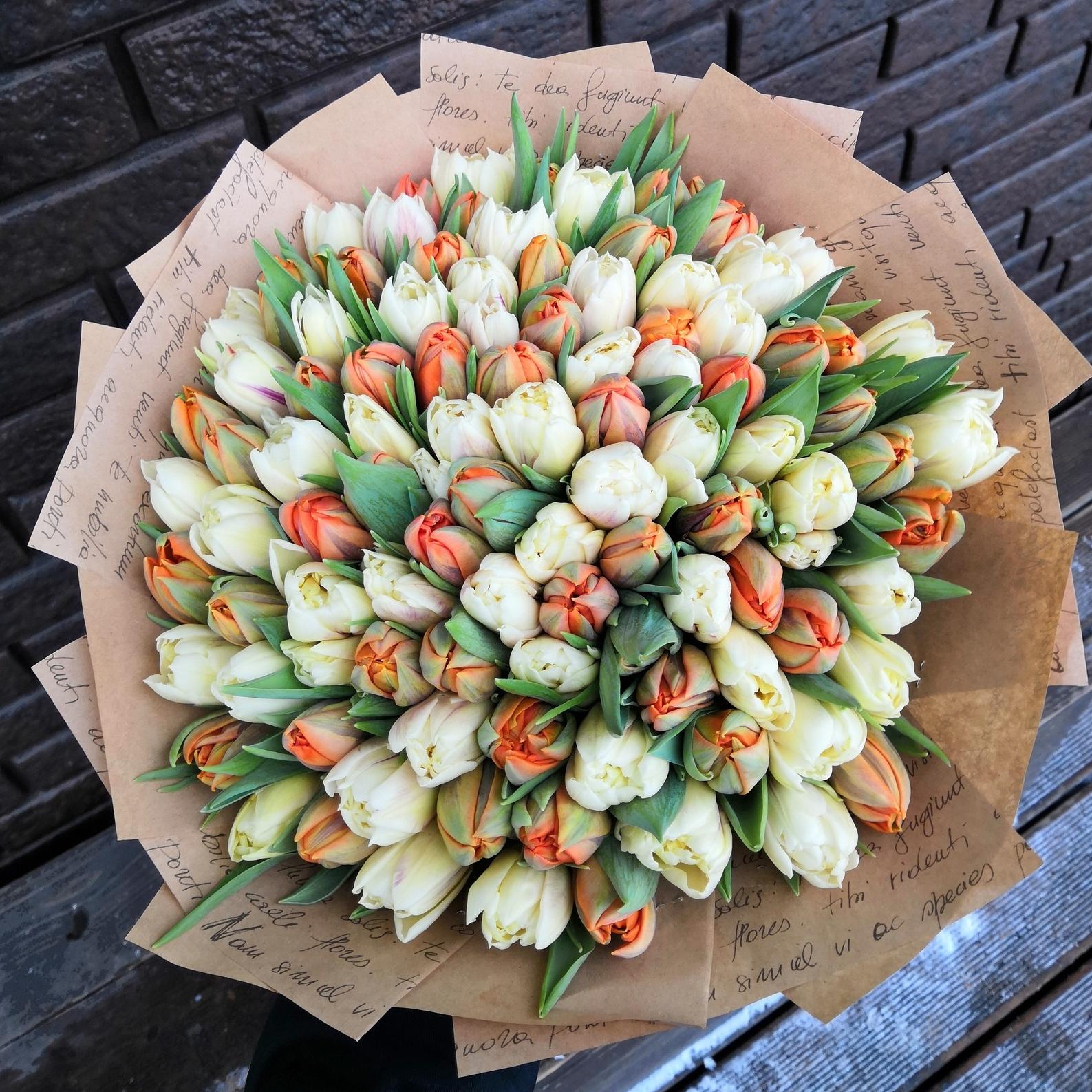 Тюльпан пионовидный оранжевый